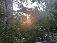 -竹吟山房