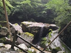-牛背梁国家森林公园