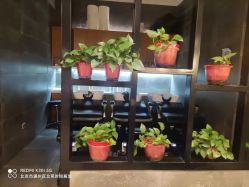 -时尚殿堂明星门店