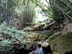 -大雁山风景区