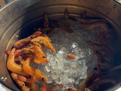 -亚龙湾希尔顿自助餐厅·海鲜·烧烤·沙滩BBQ·现场乐队