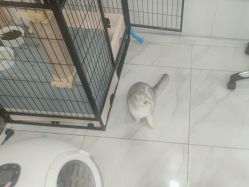-镁连社·美联社