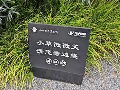 -四川大学博物馆