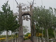 -西青郊野公园