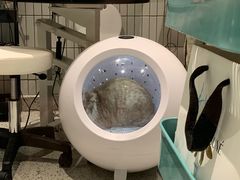 -電力宠物公司(武定路店)