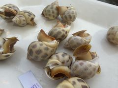 -岛中岛·海鲜大排档·万宁老字号(东澳店)