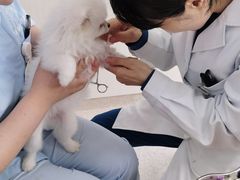 -谐和贝康宠物医院24小时·宠保定点(急重症转诊中心)