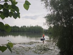 -白鹭湾湿地公园