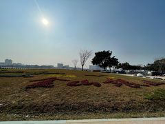 -洲头咀公园