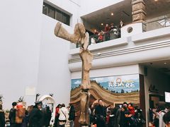 -自贡恐龙博物馆