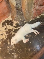 -Zoolung Zoolung动物主题公园(海信广场店)