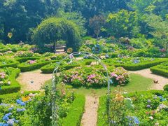 -上海共青森林公园