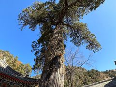 -北京上方山国家森林公园