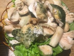 -菌海森林·非遗野生菌火锅(西山区滇池路摩根道店)
