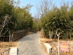 -竹子庵公园
