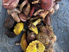 -柳沟豆腐宴64号院