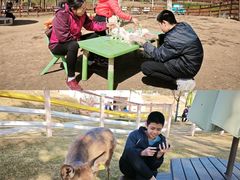 -盈香心动乐园