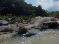 -长泰漂流水陆空景区