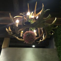 点击看大图 -V-STAR威斯达•高级私人定制