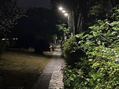 -三垟湿地