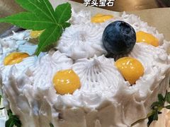 -野草莓自由市场