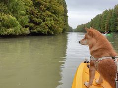 -上海海湾国家森林公园