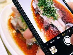 清蒸东星斑-旺富东海大酒楼(海鲜街店)
