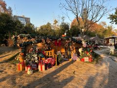 -HERRE·FARM 赫尔露营农场·团建聚会包场