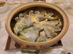 -人间采蜜(海信广场店)
