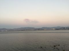 -清真·聚海轩餐厅(小关邑店)
