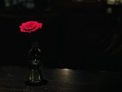-ANOTHERLIFE 来生