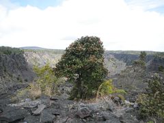 -夏威夷火山国家公园
