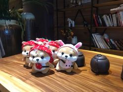 点击看大图 -花隐瑜伽·普拉提·红绳