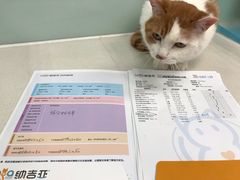 -纳吉亚猫专科动物诊疗中心(蒋宅口分院)