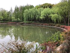 -黄兴公园