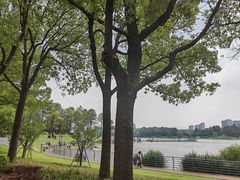 -美兰湖景区