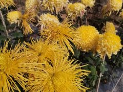 -贵州省植物园