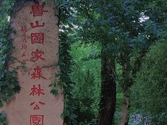 -鲁山国家森林公园