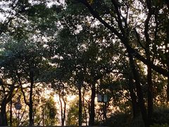 -广州市白云山风景名胜区