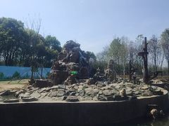 -合肥野生动物园