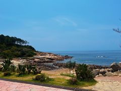 -广东惠东海龟国家级自然保护区