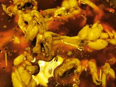 美蛙鱼头火锅-花鲢鱼头火锅(春城东路店)