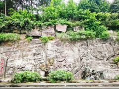 -铁山坪森林公园