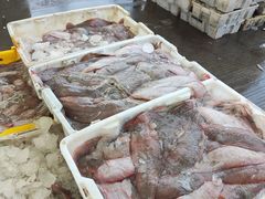 -吕四渔港码头海鲜餐厅