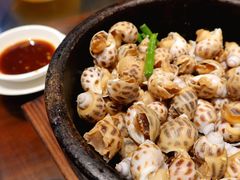 白灼海螺-猪肉婆私房菜(容桂总店)