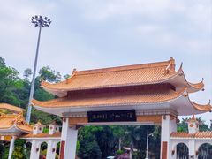 -深圳仙湖植物园