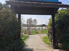 -贡湖湾湿地公园