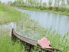 -南通鲜花小镇