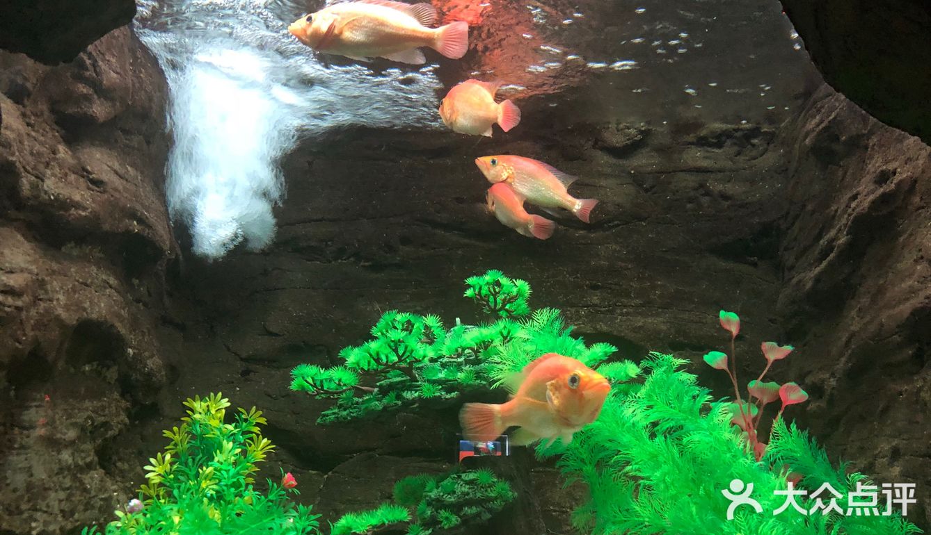 台州椒江海洋馆