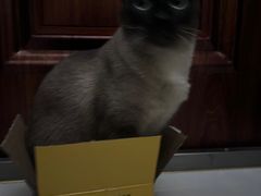 -美迦爱-牙专科·兔科·骨科诊疗中心(北苑店)